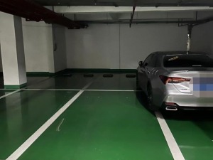 宜章县玉溪镇芙蓉新府一期2栋002号子母车位_郴州法拍房图片