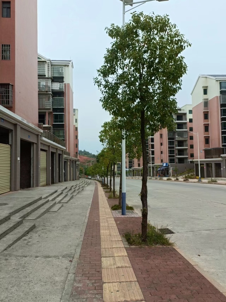 宜章县玉溪镇马耳冲小区二期36栋101号商业门面法拍房图片2