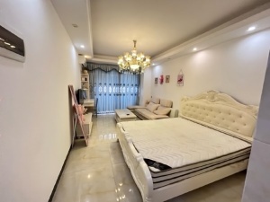 新贵华城三期B区 1室1厅 45㎡ 整租郴州北湖区龙泉租房图片