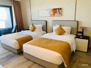 双月湾云顶海岸 1室1厅 54.14㎡ 精装_惠州惠东县惠东度假区二手房图片