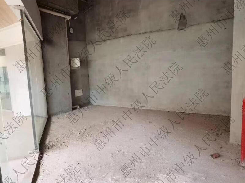 惠州仲恺高新区沥林镇智慧大道1号凤凰国际商务中心4#、5#楼2层10号法拍房图片7