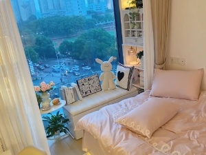 金河湾1881 1室1厅 38㎡ 整租衡阳蒸湘区区政府北租房图片