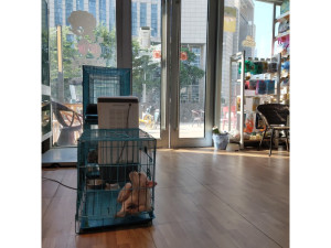 被执行人黄光福名下位于深圳市龙岗区龙城街道万科时代广场3栋1-004的房产深圳法拍房图片