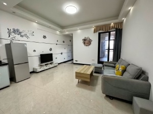 好益康世纪中心 2室1厅 55㎡ 整租_惠州惠阳区草洋新区租房图片