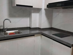 万豪丽影公馆 2室2厅 32.6㎡ 精装_中山火炬开发区中山港口岸二手房图片